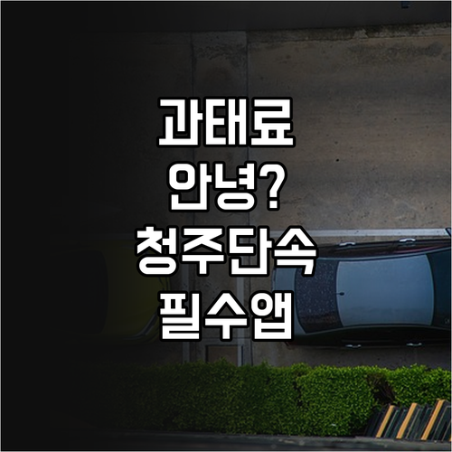 청주시 주정차 단속알림 문자 서비스 ..