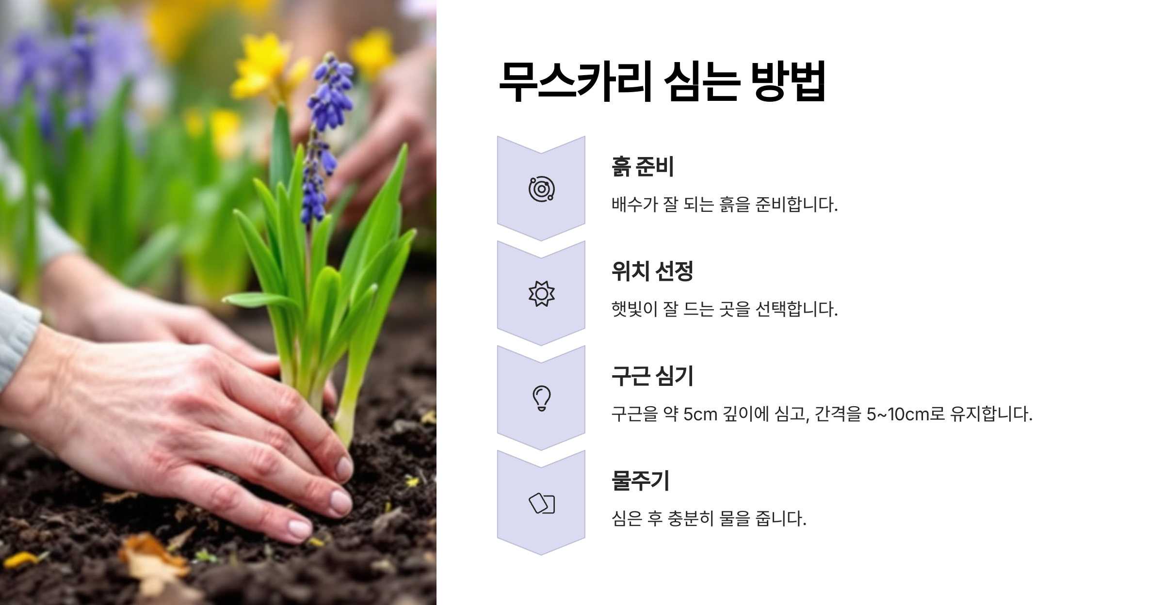 무리카리 꽃 사진