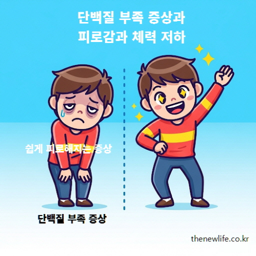 단백질 부족 증상으로 인한 피로감과 체력 저하 비교 – 에너지 저하로 쉽게 피로해지는 모습