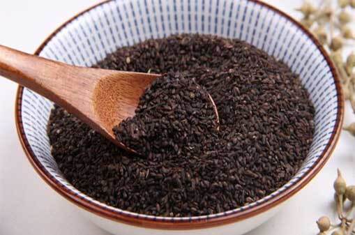 차전자피 효능 먹는법 부작용 (2주 섭취 후기)