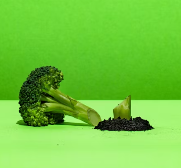 브로콜리 효능과 부작용 고르는법 칼로리