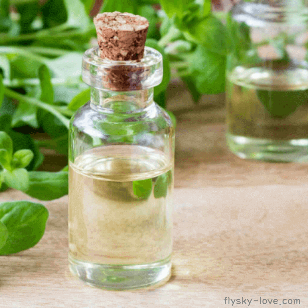 마조람 (Marjoram) 오일