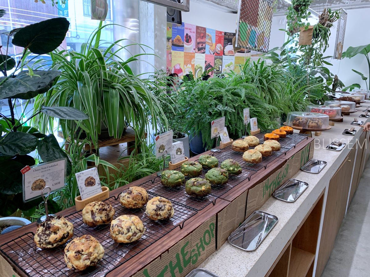 삼각지-카페-파이샵-파이가게-디저트맛집-파이인더샵-식물원-식물