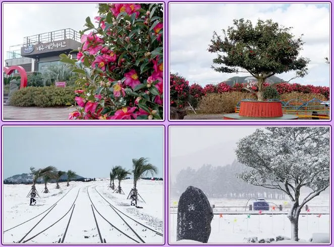 제주도-동쪽-테마파크-제주-레일바이크-액티비티-추천-겨울-풍경