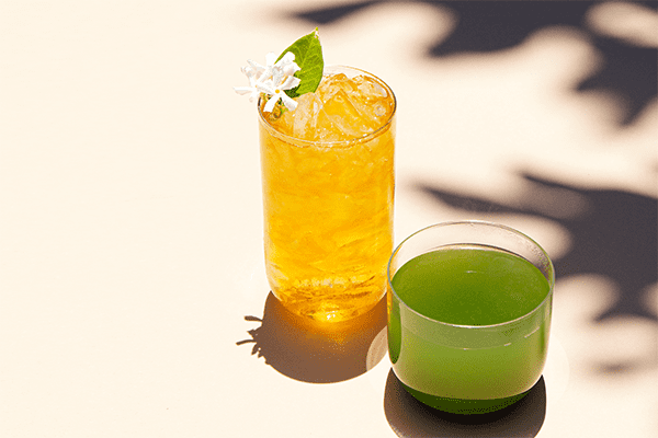 녹차 톱 브랜드 The Top 10 Best Green Tea Brands