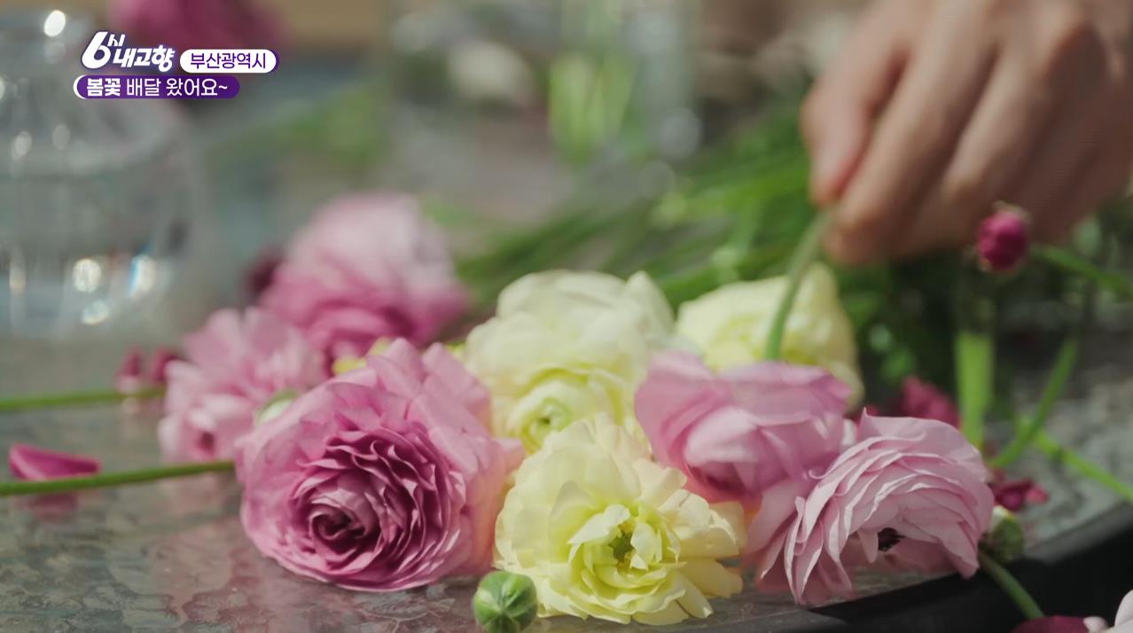 부산에서 키운 국산 꽃