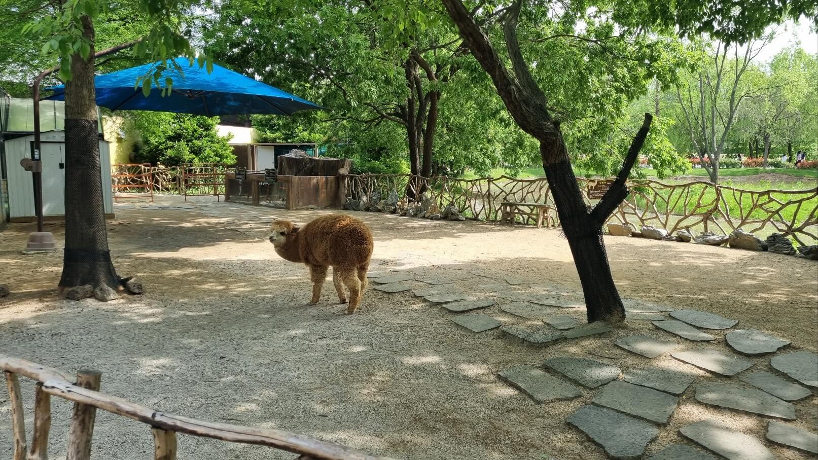 순천만국가정원 서문 동물원