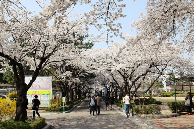 삼청동 주차장 정보