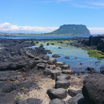 4월 제주도 여행코스 2박 3일 완벽 코스_9