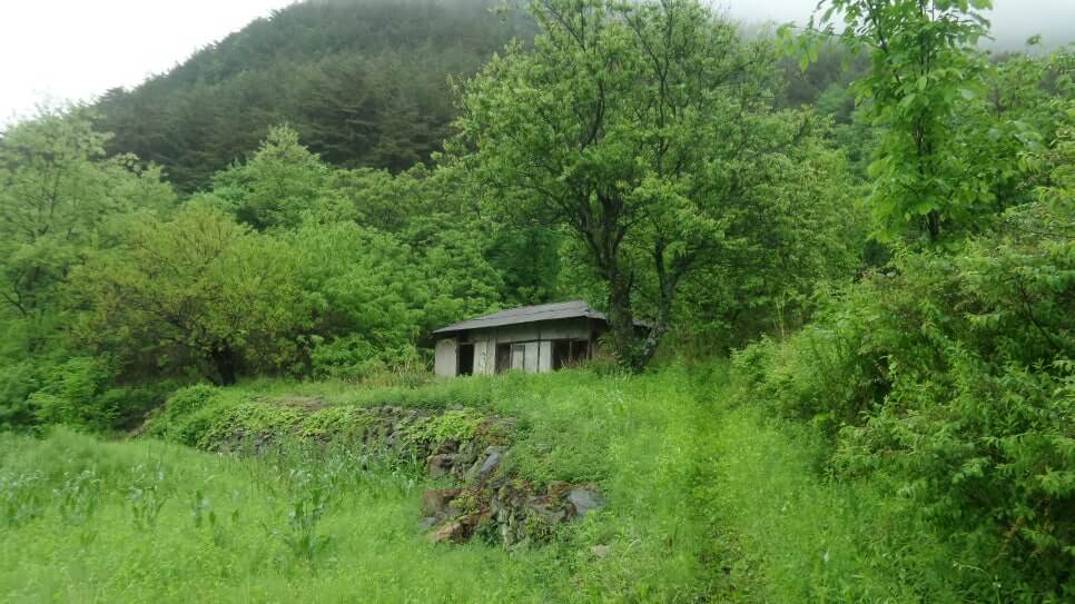 100대 명산 등산하기 마흔세번째 정선 가리왕산 깊은 원시림과 청량한 산세가 살아 숨 쉬는 강원도의 숨은 명산