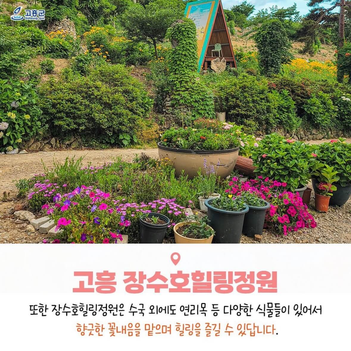 쑥섬 수국축제