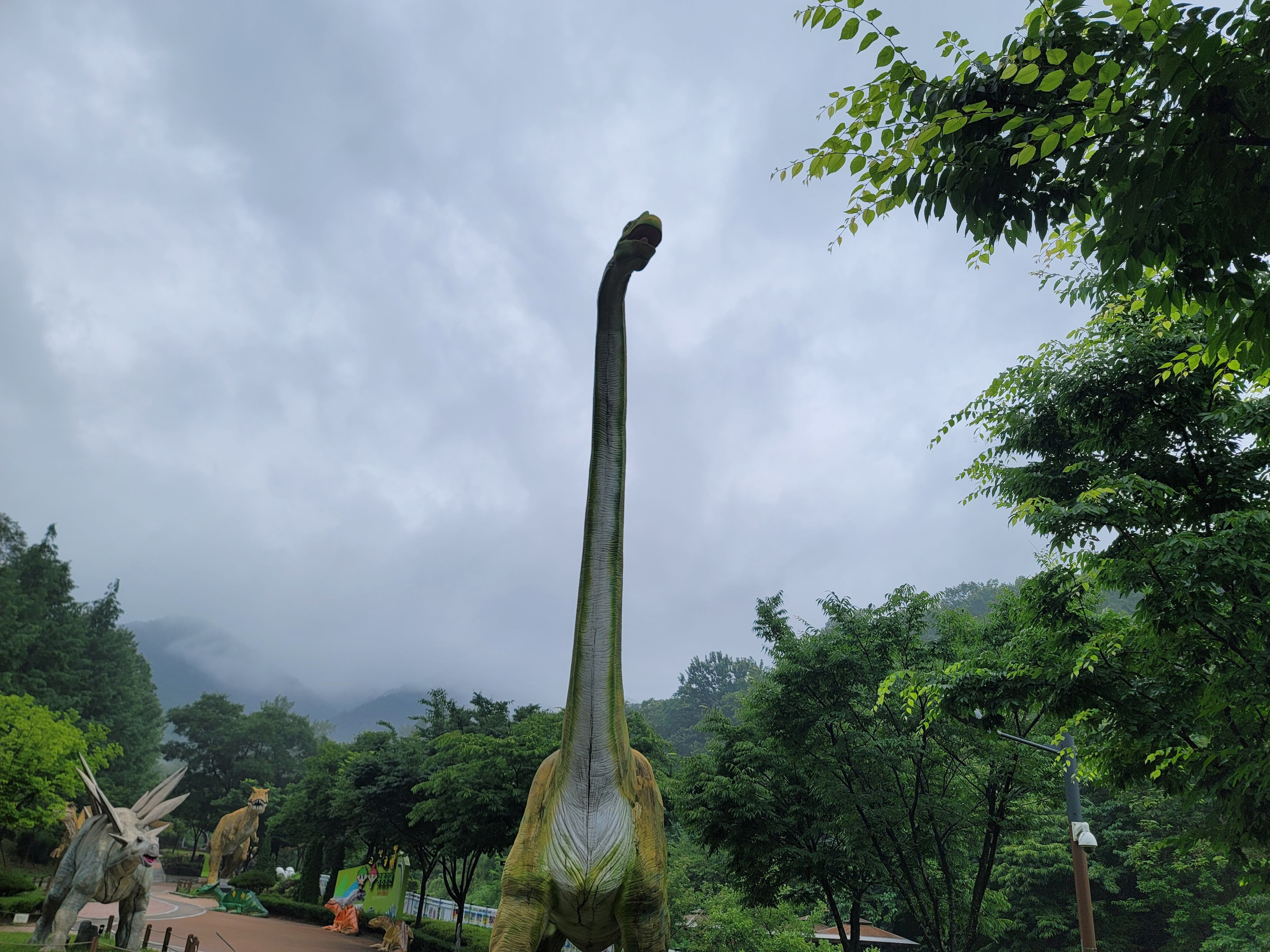 대구고산골공룡공원