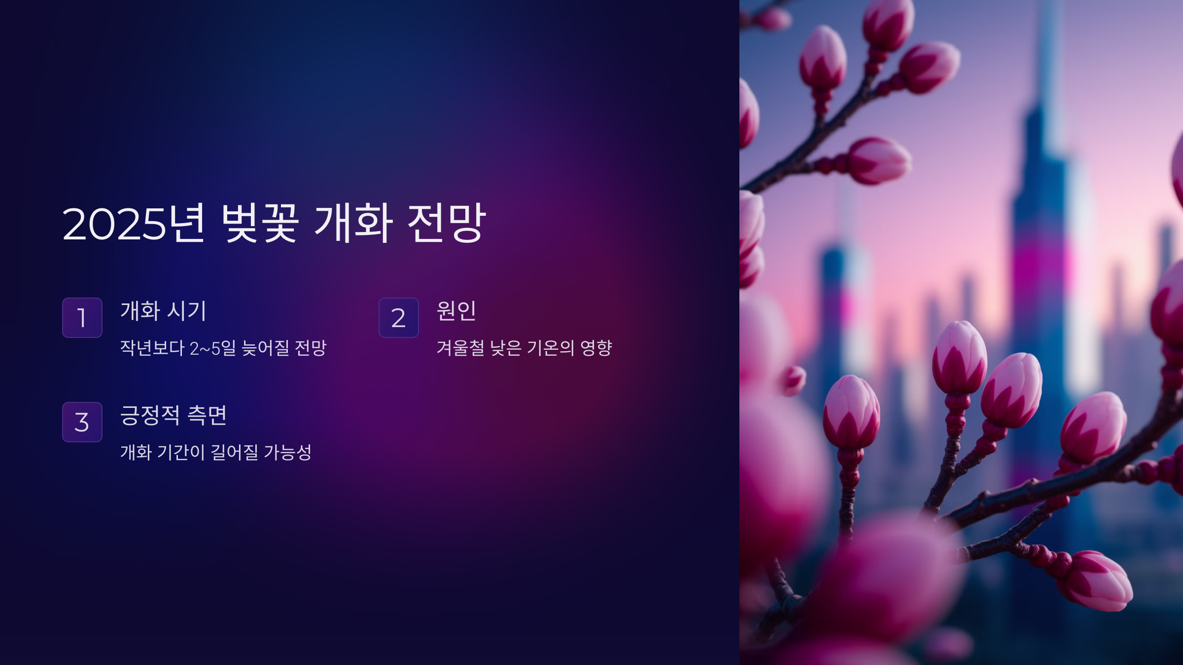 2025년 봄, 벚꽃 개화 시기