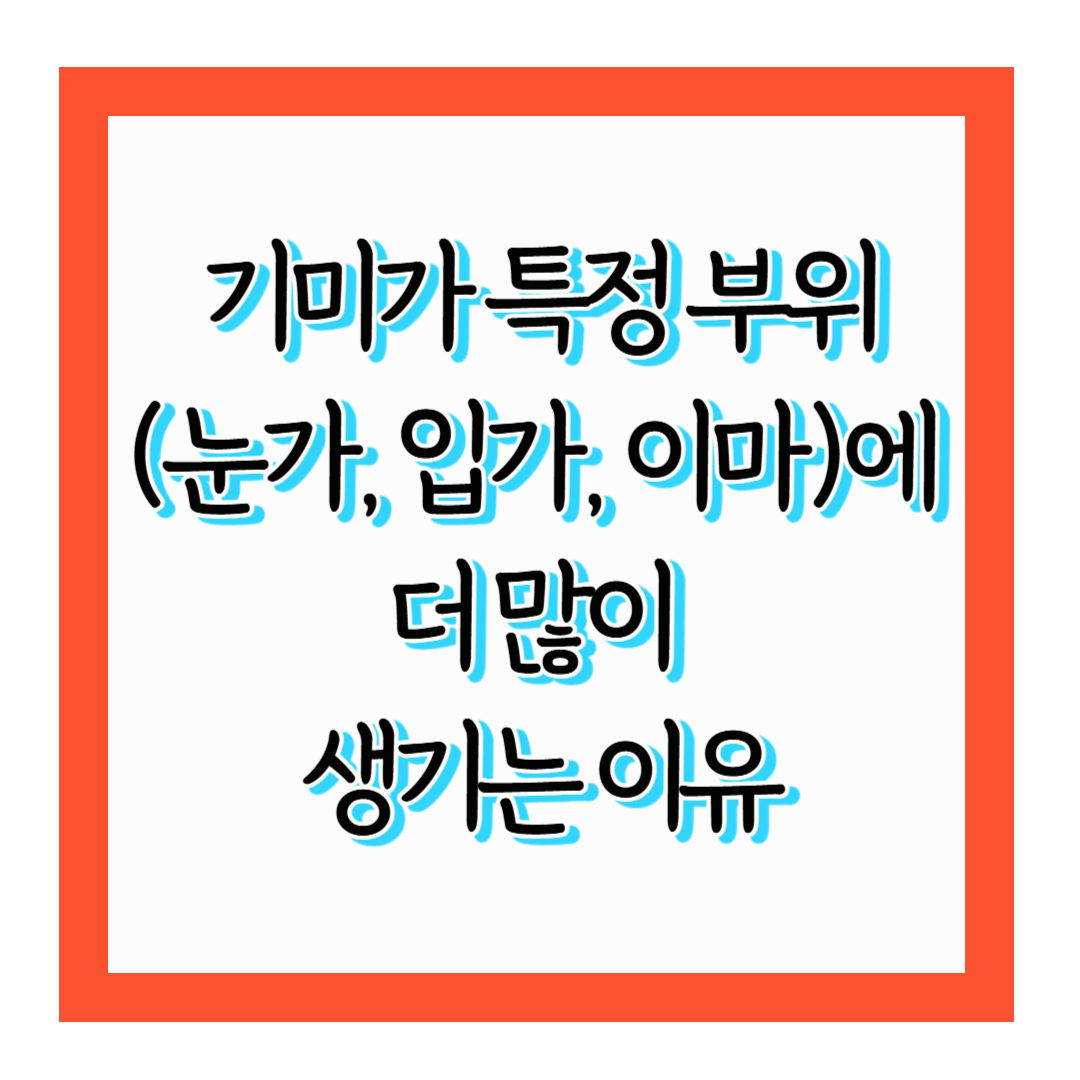 기미가 특정 부위(눈가, 입가, 이마)에 더 많이 생기는 이유