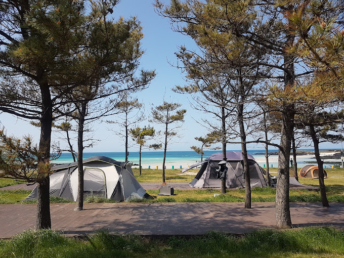 제주도 김녕해수욕장야영장 미리보기