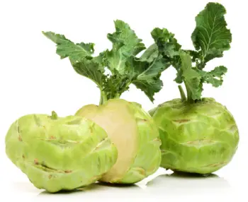 콜라비 효능과 영양성분, 주의점