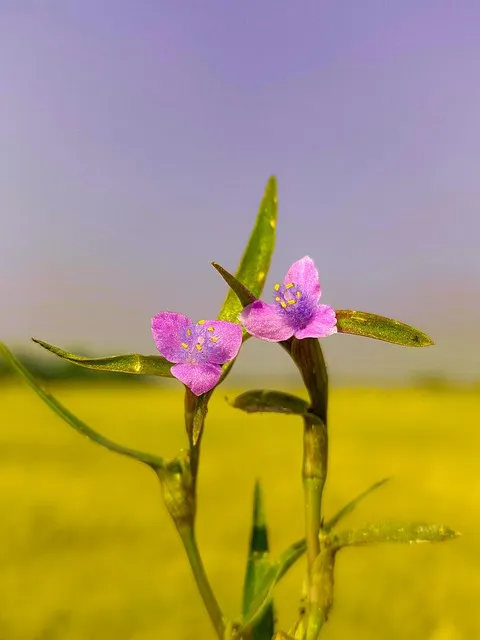 여자 오른쪽 겨드랑이 콕콕 유방암 증상일까 놓치기 쉬운 신호로_1