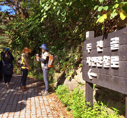 단풍여행 당일 단풍버스여행