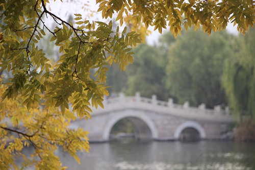설악산 케이블카 예약 주차장
