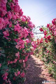 관련 여행지 사진이미지