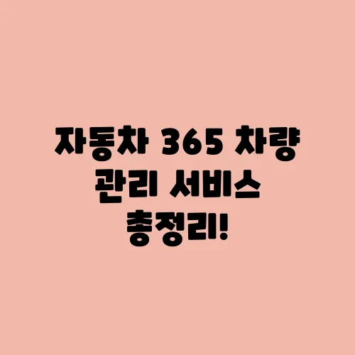 자동차 365 차량 관리 서비스 총정리!