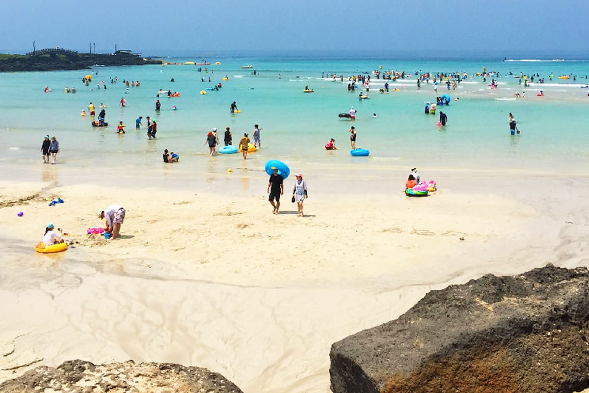 2025년 해수욕장 개장 일정 &amp; 주차장 정보 총정리