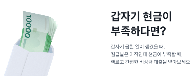 소액대출 100만원