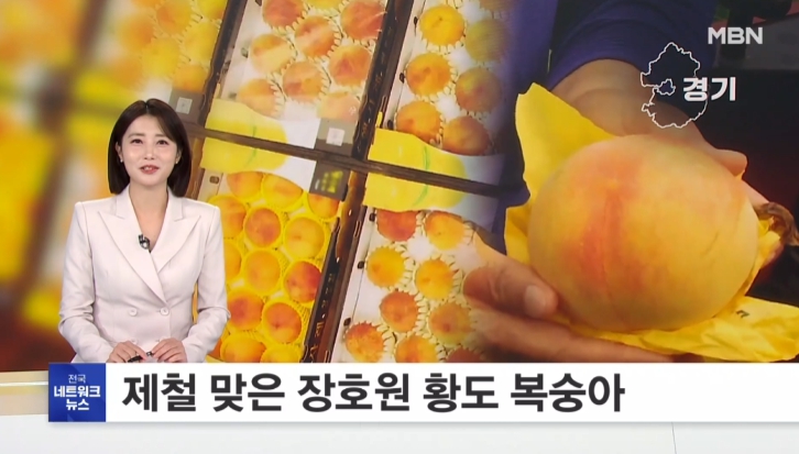 장호원 복숭아 축제