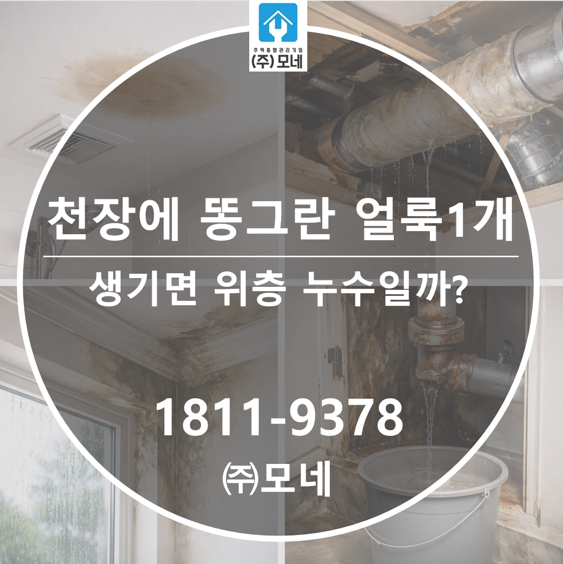 천장에 동그란 얼룩 1개 생기면 위층 누수일까요? 흔한 2가지 유입 경로와 확인 순서