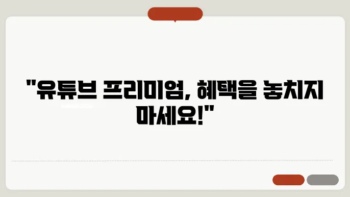 유튜브 프리미엄 전용 콘텐츠