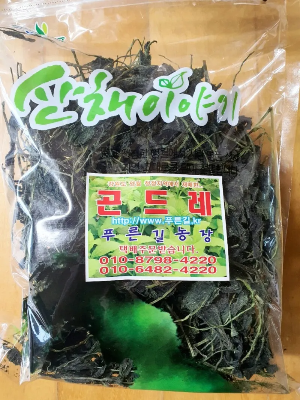 사철나물 재배 상자 텃밭 초보 가능 물 관리_7