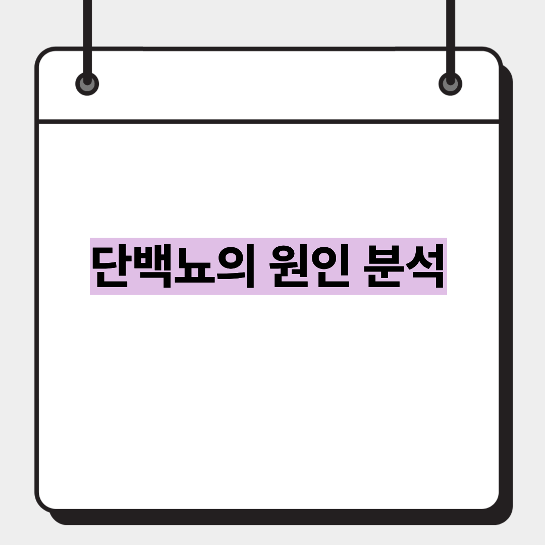 단백뇨의 원인 분석