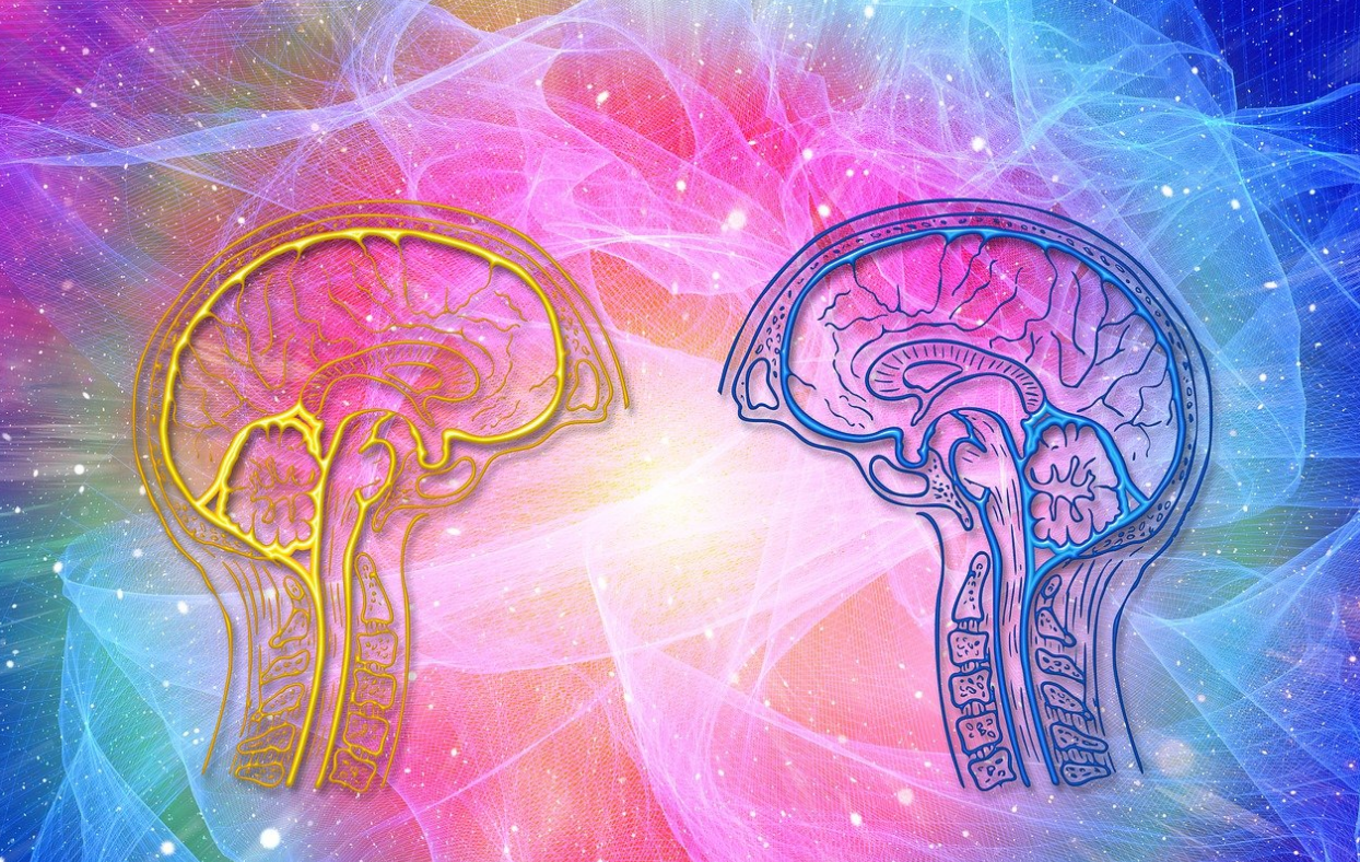 프로성장러만 알고있는 &lsquo; 메타인지 &rsquo; 활용법