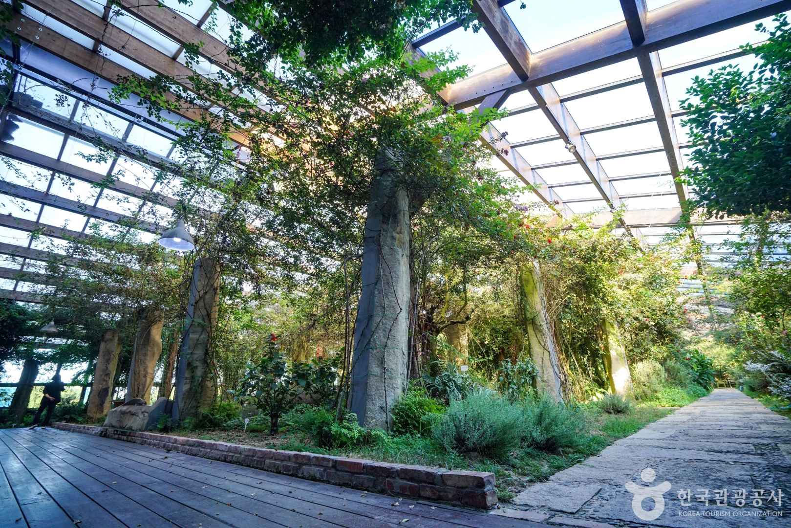 연천 허브빌리지