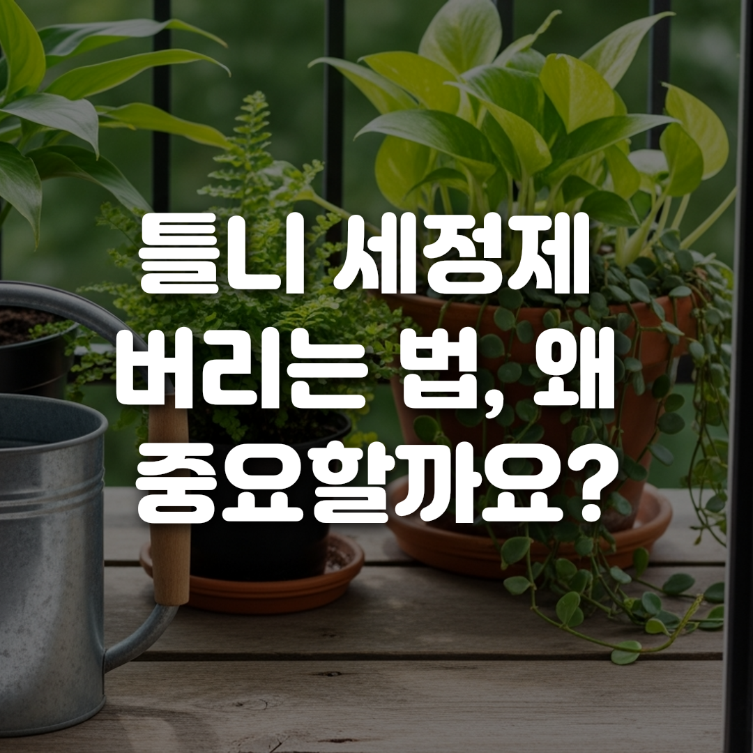 틀니 세정제 버리는 법 왜 중요할까요