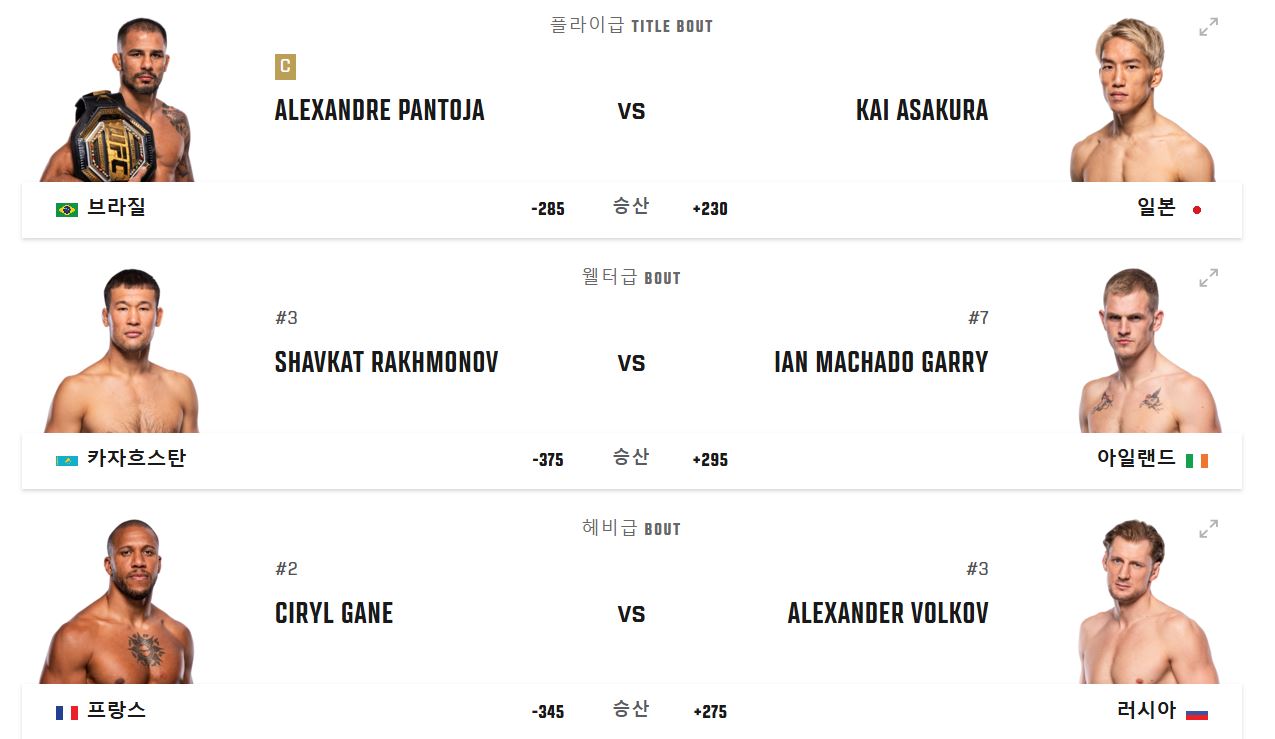 ufc310