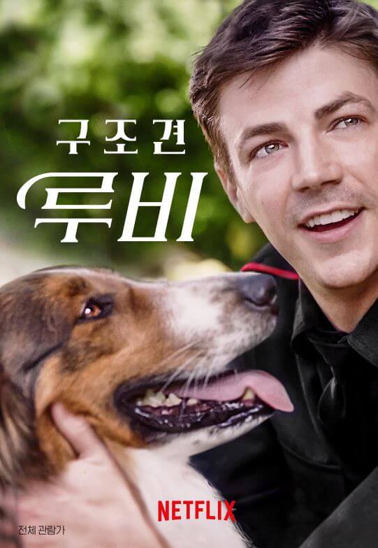 구조견루비