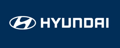 현대자동차 무상점검