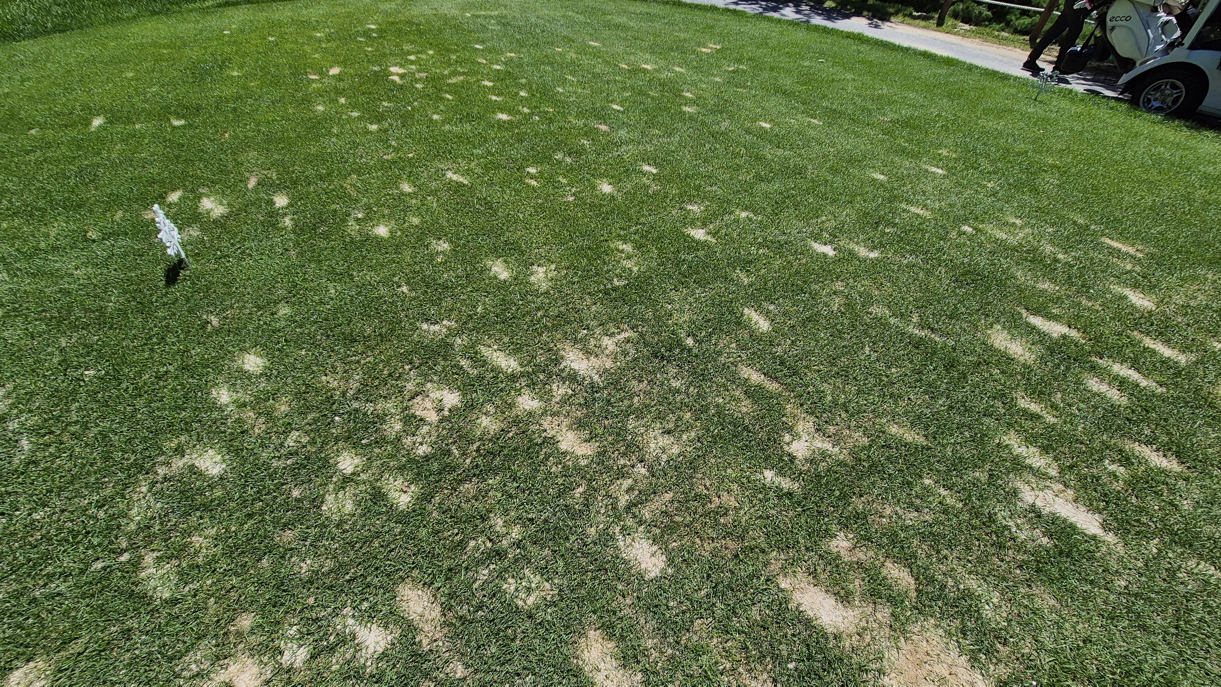 SG 아름다운cc 라운드 후기