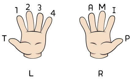 기타 손가락 번호