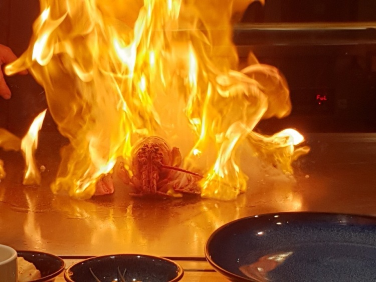 활랍스터, 활전복, 한우스테이크 산해진미 불철판 코스요리 맛집 추천 생방송투데이 리얼맛집 오늘방송 고수전 정보 수원 영통 위치 어디