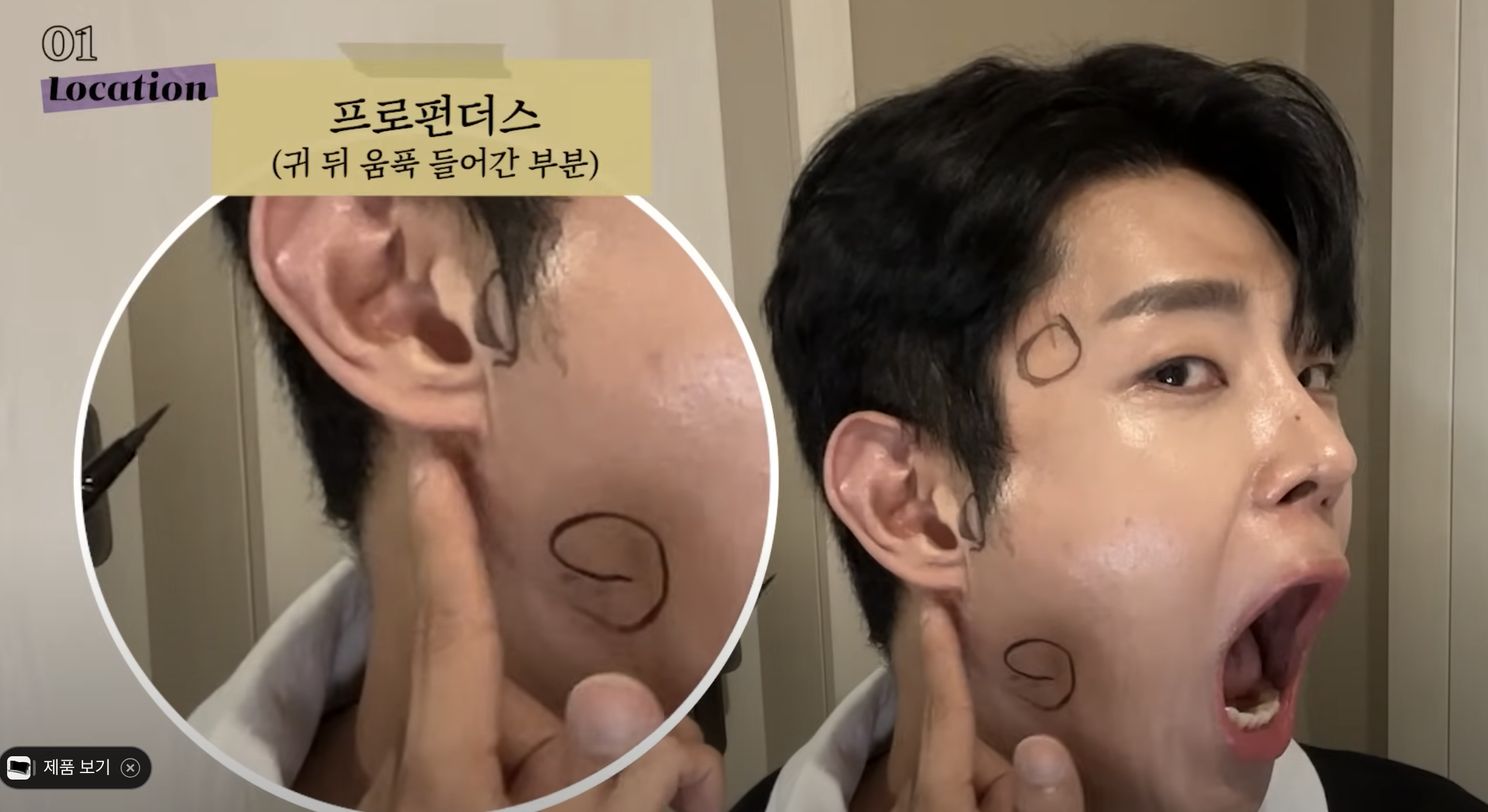 프로펀디스