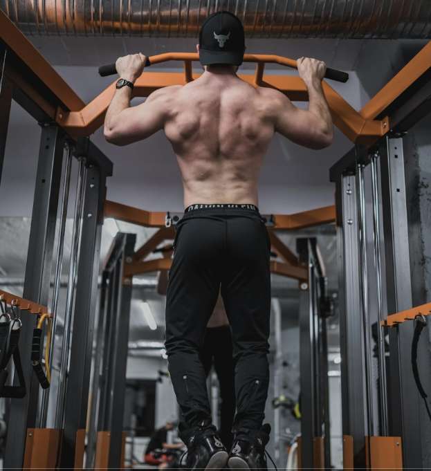 등 운동(Back Workout)에 대한 모든 것,