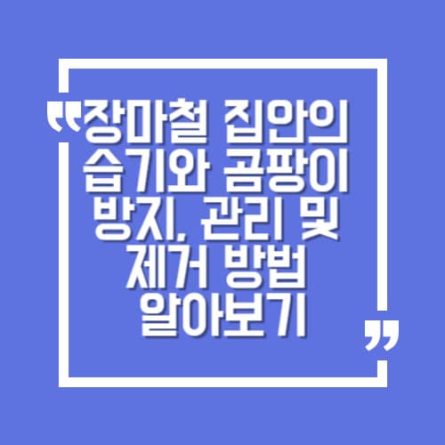 장마철 집안의 습기와 곰팡이 방지, 관리 및 제거 방법