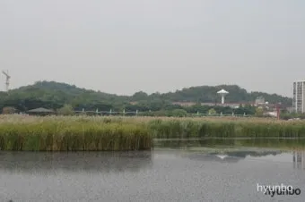 사돈 사둔 맞춤법 뭐가 정확한 맞는말일까_22