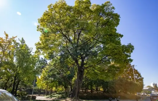 올림픽공원-주차요금-주차장-이용