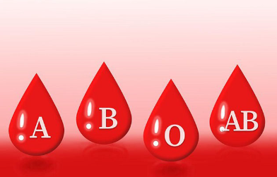 혈액형