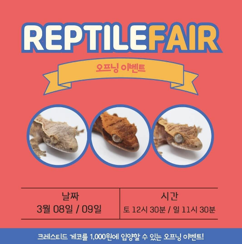 2025인천렙타일페어_오프닝쇼