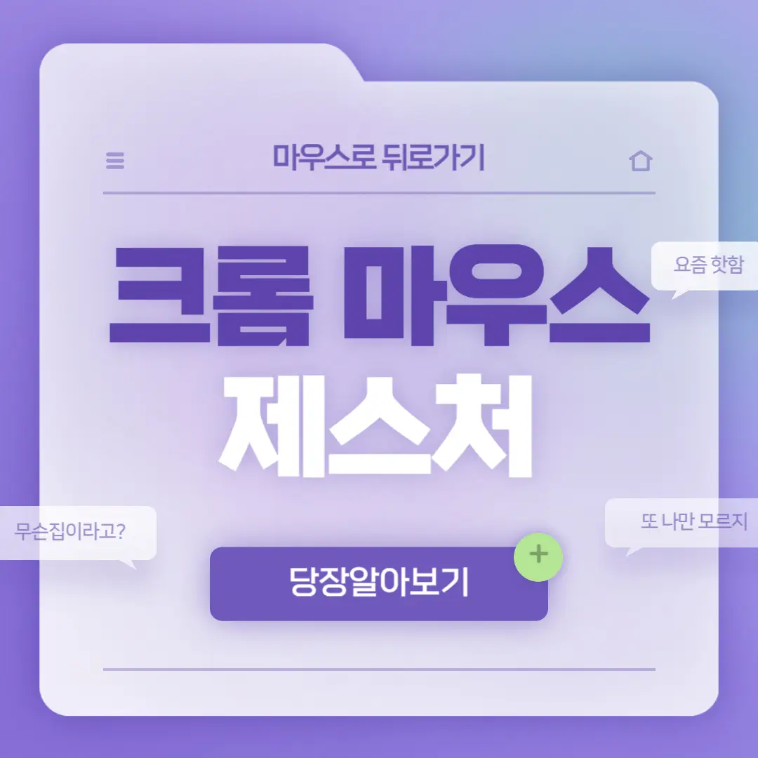 크롬 마우스 제스처