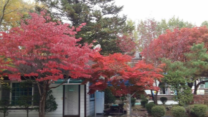 보보스캇